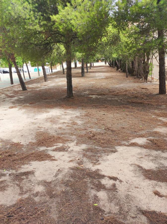 Apartamento Completo, Mascotas Aceptadas Arenales del Sol Exterior photo